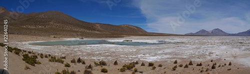 Salar de Surire photo