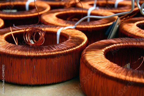 Detail of the toroidal coils