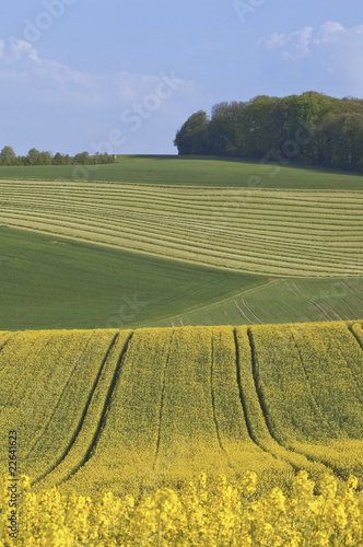 Kraichgauer Landschaft © Fineart Panorama