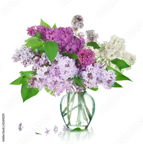 Beautiful Bunch of Lilac in the Vase