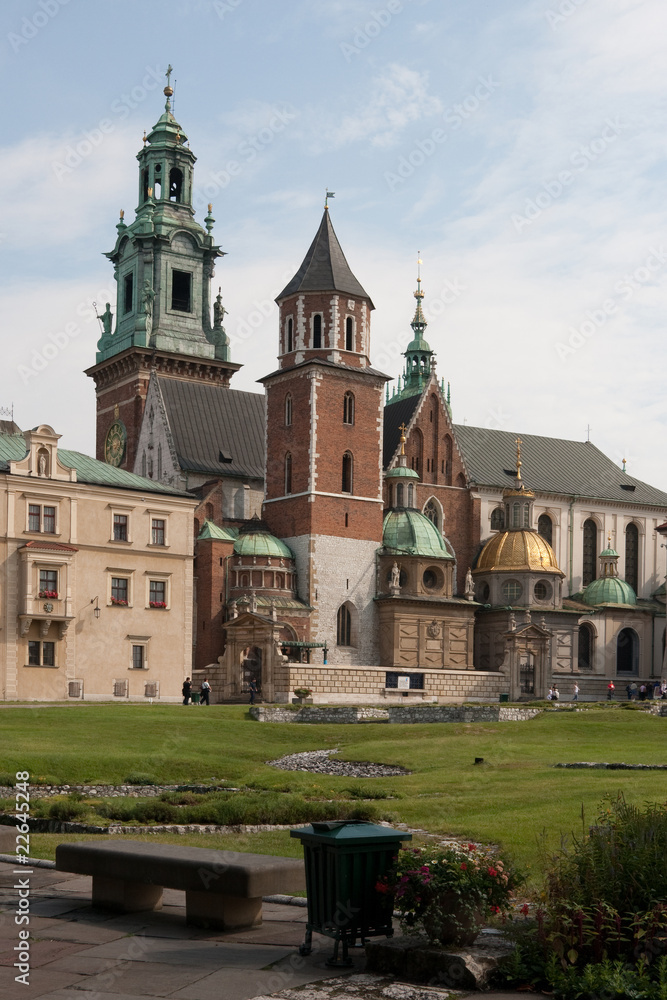 Wawel - katedra - obrazy, fototapety, plakaty 