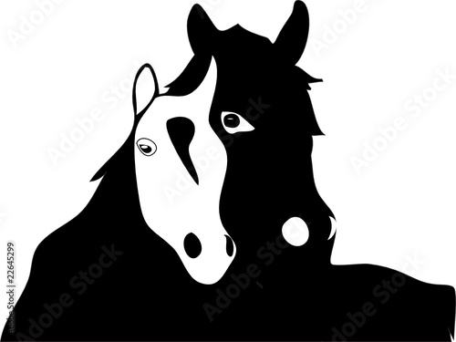 beloved horses