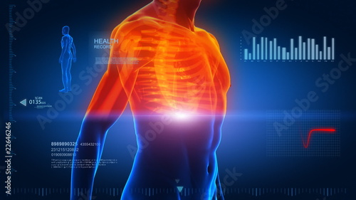 Whole human body xray scan