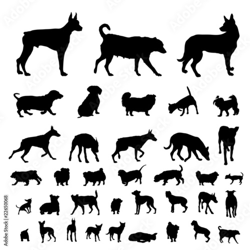 dogs silhouettes