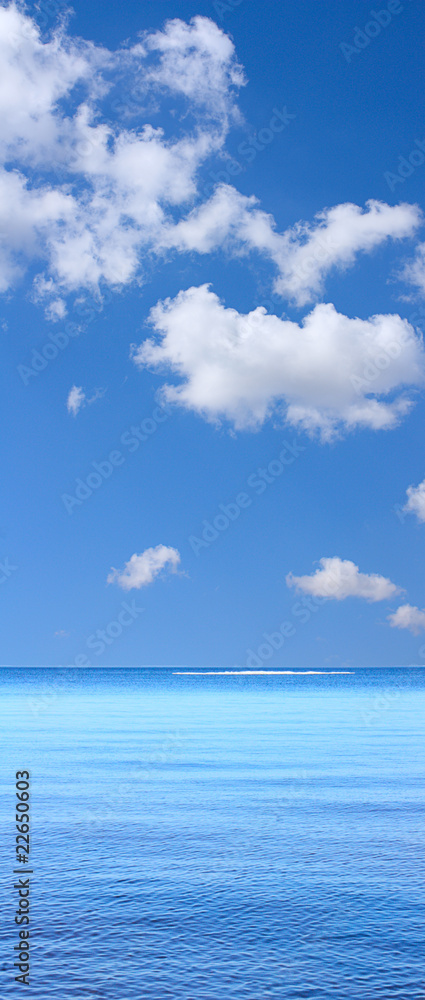 Obraz premium Serenity in blue