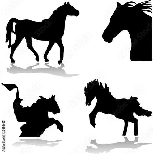 horses