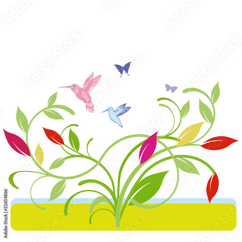 Kunterbunt humming-bird