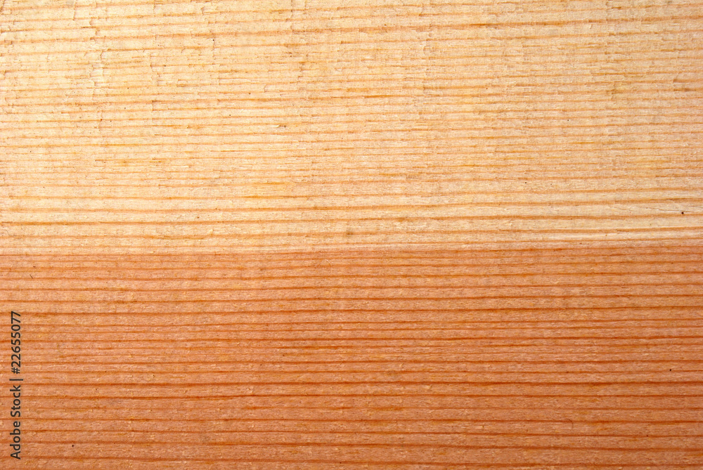 coniferous wooden texture coniferous wooden texture