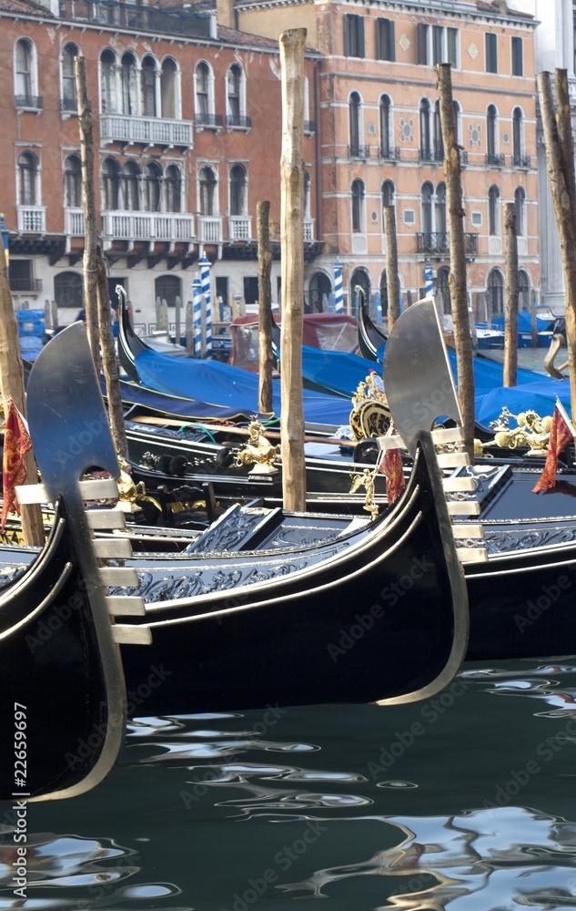 Venice - gondolas on the canal Grande