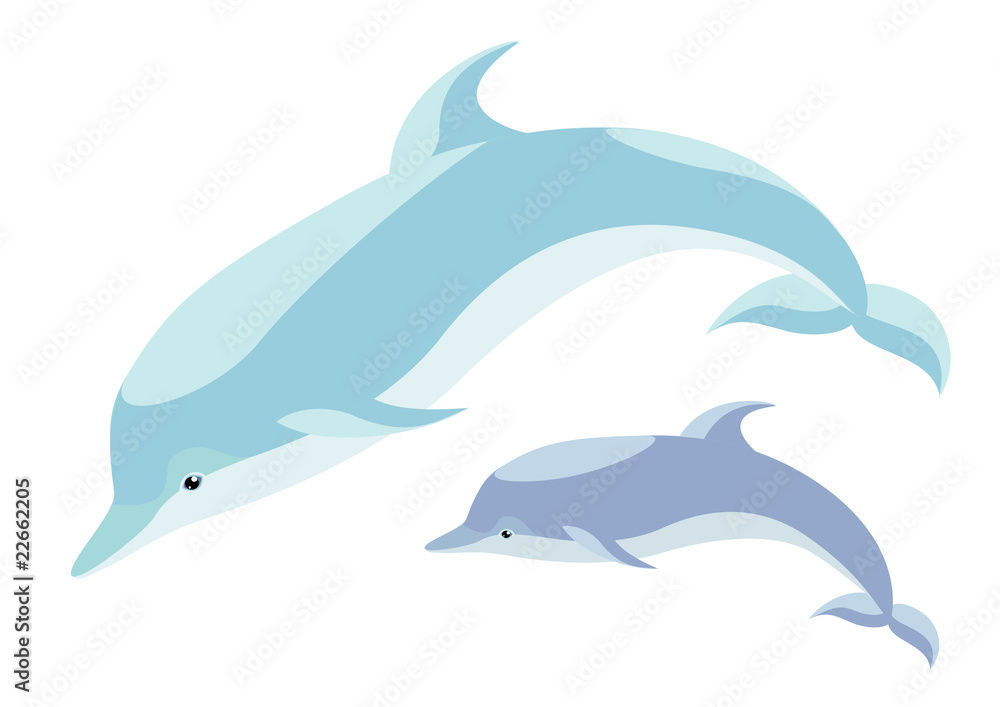 Obraz premium Two nice dolphins mum and cub