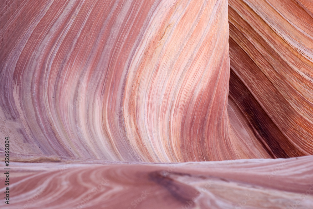 Obraz premium The Wave, Paria canyon