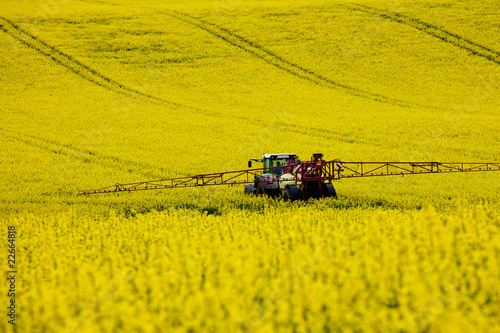 Fotografie Traktor im Rapsfeld