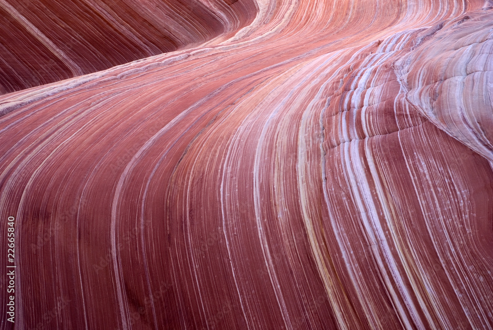 Obraz premium The Wave, Paria canyon