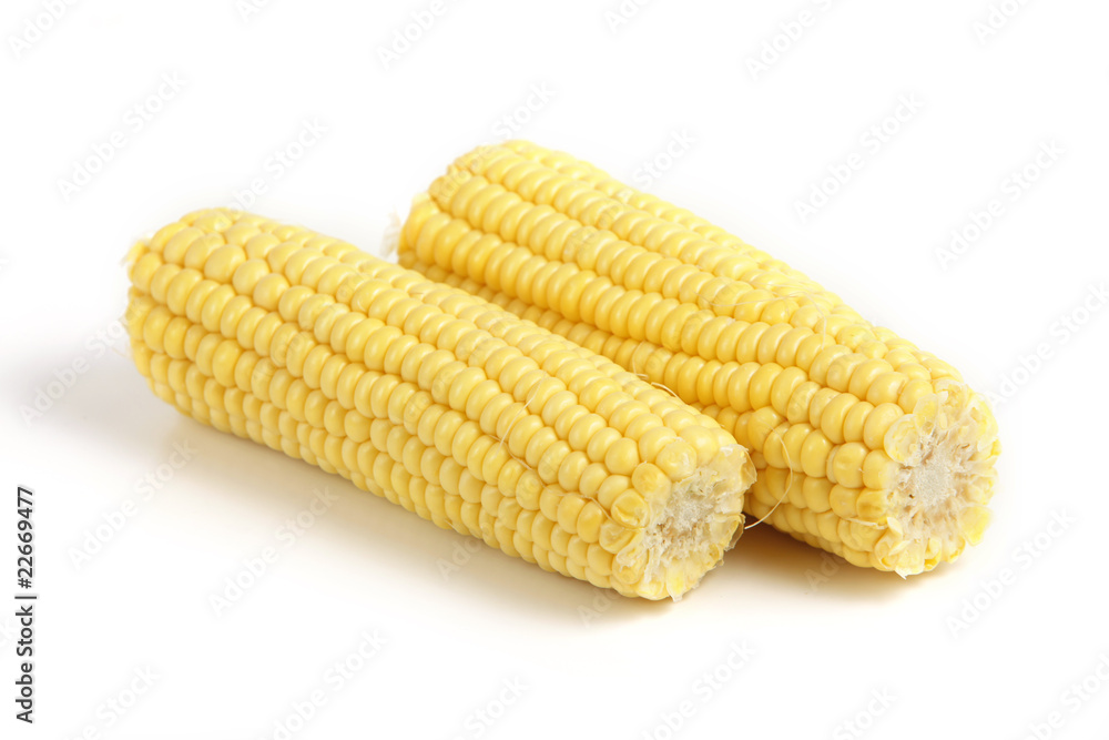 Sweetcorn isolated on white background Sweetcorn isolated on white background