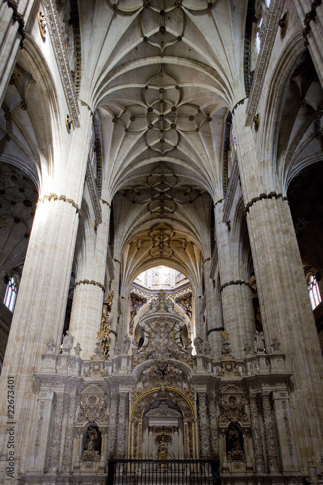 interior of cathedral in Salamanca, Castile and Leon, Spain