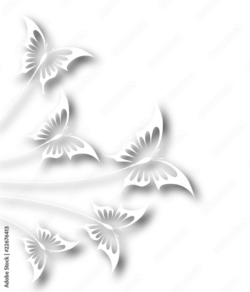 White butterflies White butterflies