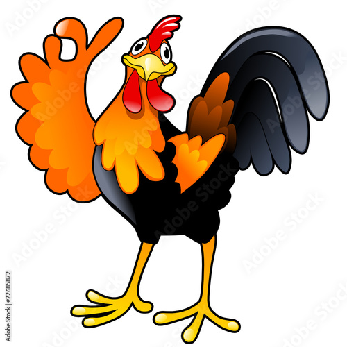 rooster