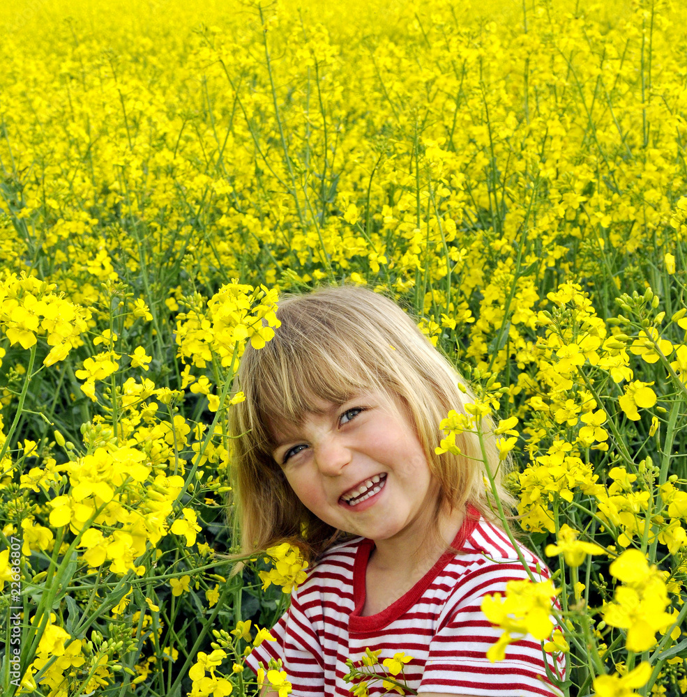 Kleines Mädchen im Rapsfeld Kleines Mädchen im Rapsfeld