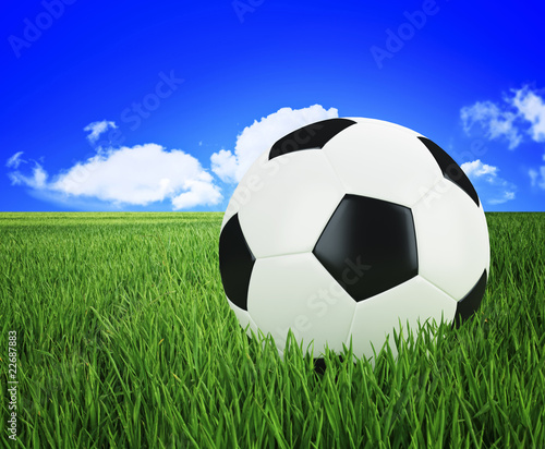 soccer ball on green grass © tiero
