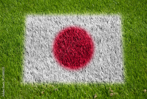 flag of japan on grass