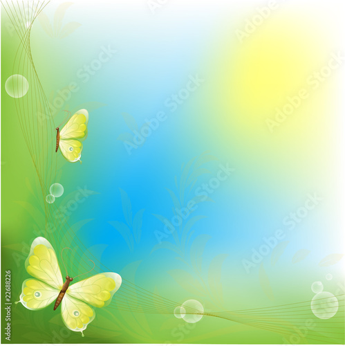 Butterfly