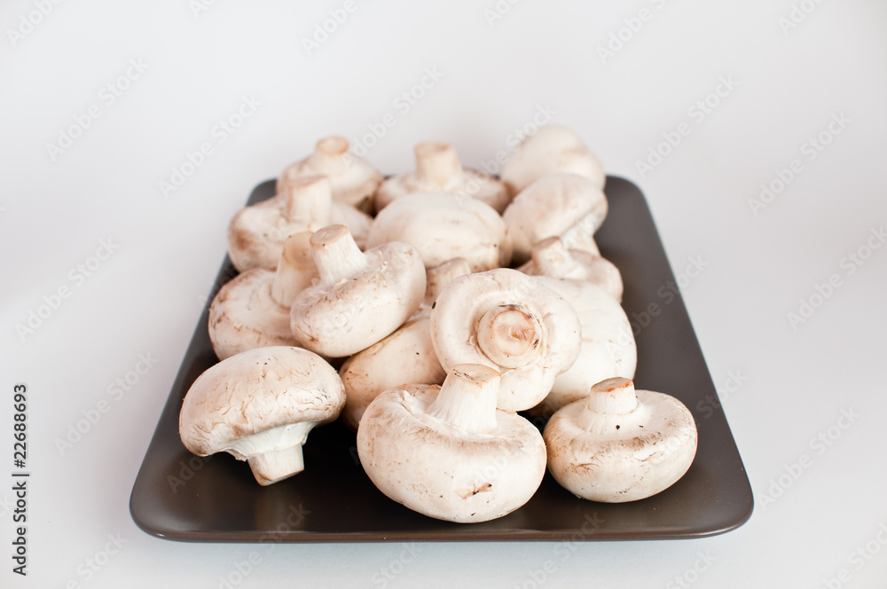 White mushrooms on a brown plate White mushrooms on a brown plate