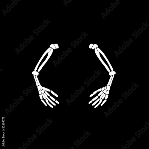 arms bones vector illustration
