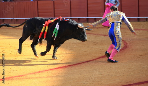 Bull fight at Seville
