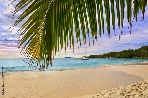 Palm leaf and tropical beach © Nikolai Sorokin