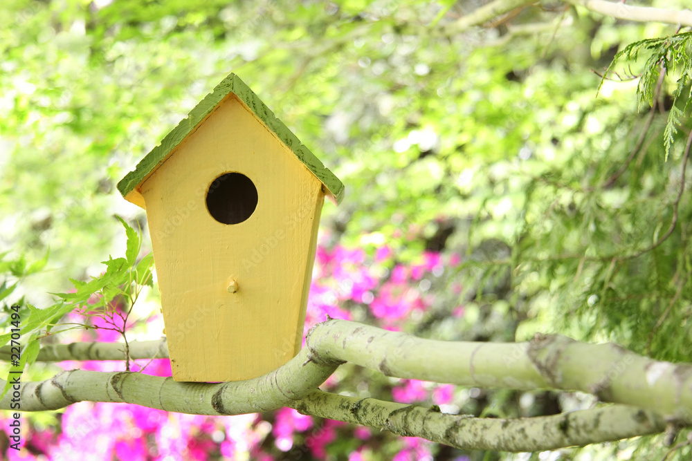 birdhouse birdhouse