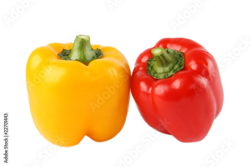 capsicum