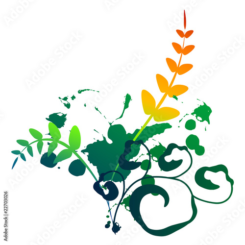 colorful floral decorative