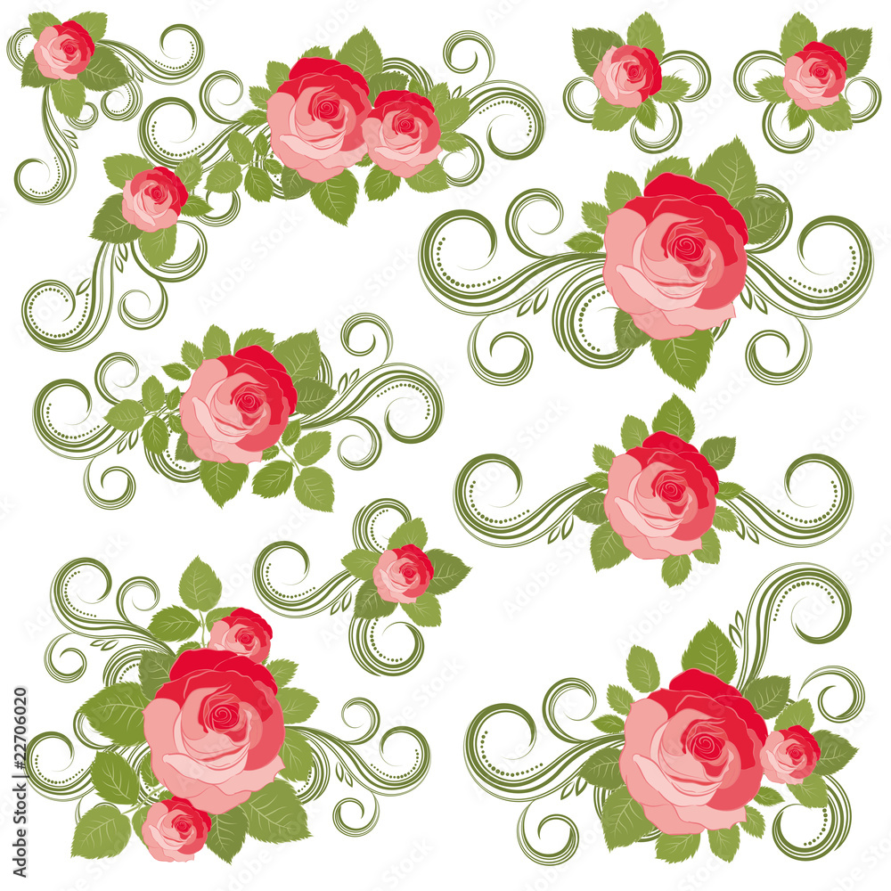 Roses collection, vector illustration.