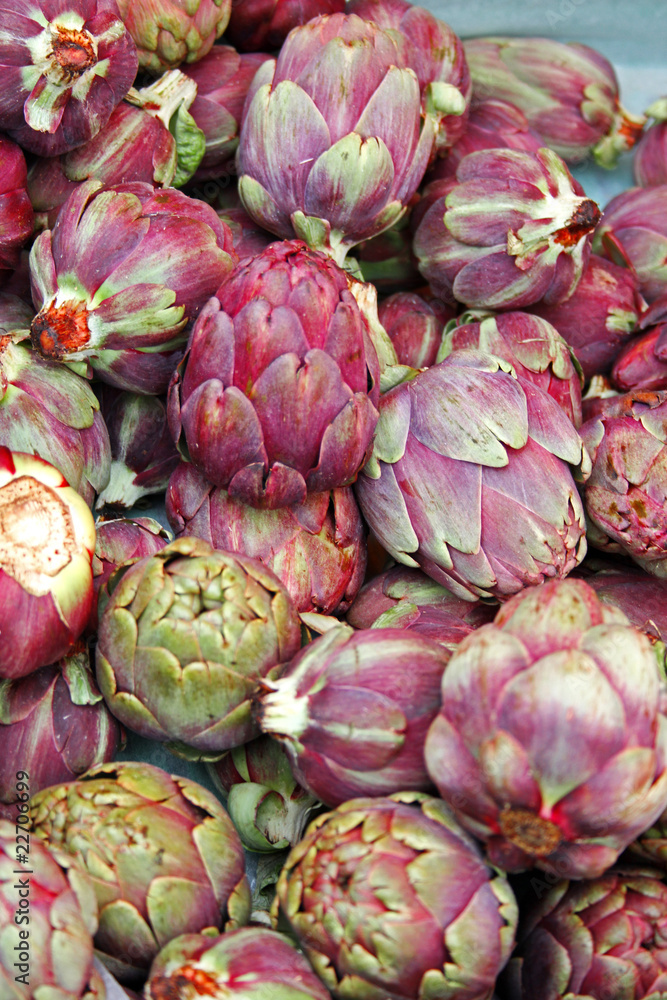 Fototapeta premium rote Artisckocken