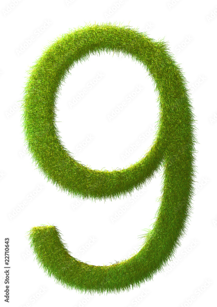 9 - grass number 9 - grass number