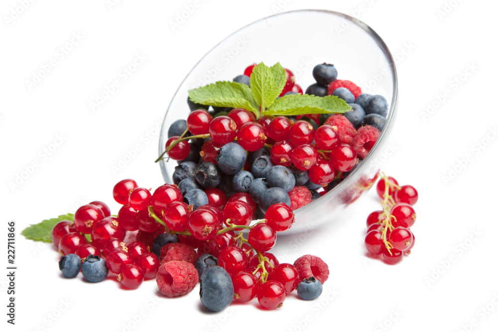 fresh berries isolated fresh berries isolated