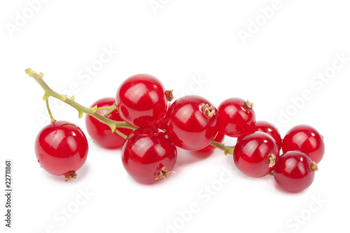 Wallpaper Mural redcurrant isolated