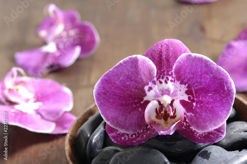 aromatherapy essential-purple orchids in wooden bowl