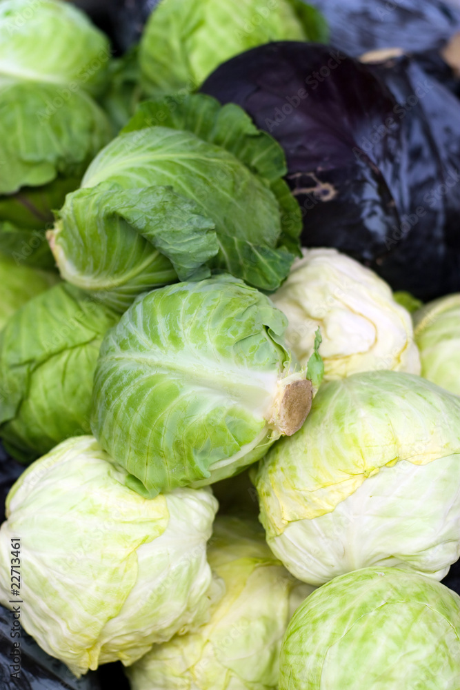 Fototapeta premium Fresh Cabbage