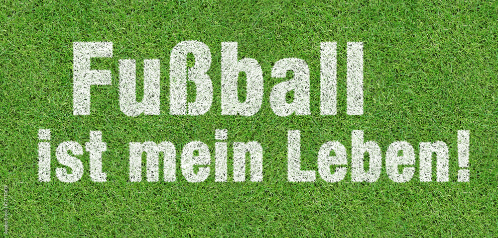 Fußball ist mein Leben! StockFoto Adobe Stock