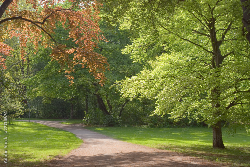 Naklejka premium Walkway on a Spring Day