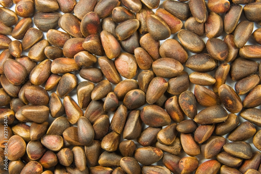 Background from pine nuts Background from pine nuts