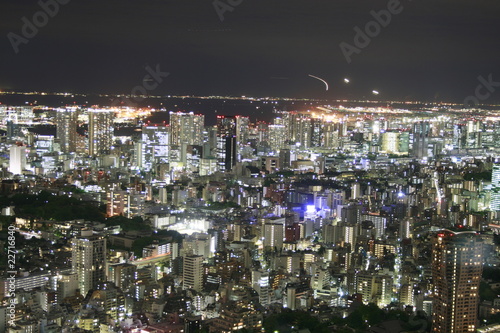 Tokyo Megacity at night © XtravaganT