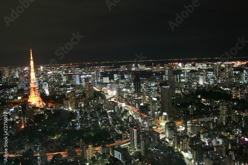Wallpaper Mural Tokyo Megacity at night Torontodigital.ca