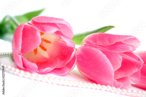 Pink tulips and pearl necklace