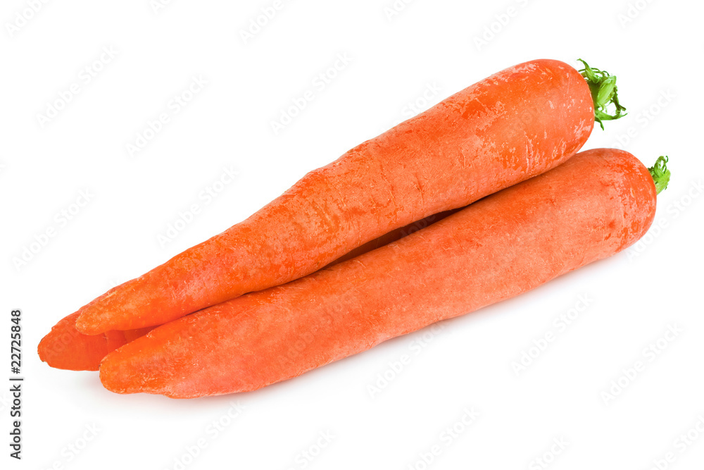 Carrot Carrot