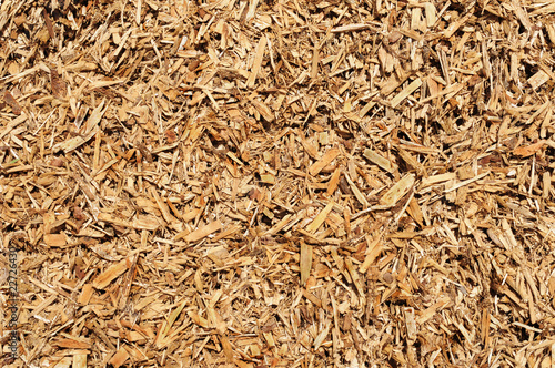 Biomass