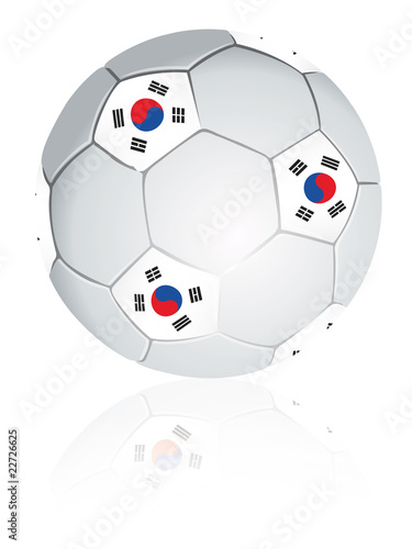 South Korea soccer ball