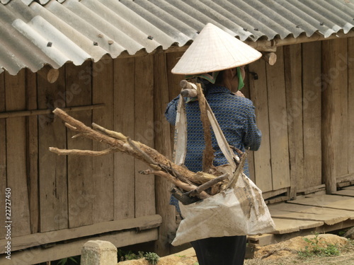 Mujer llevando leña en Vietnam photo