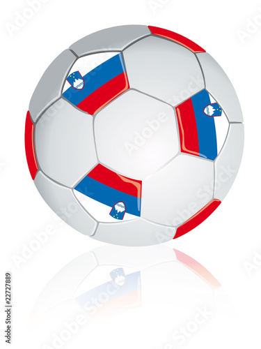 Slovenia soccer ball